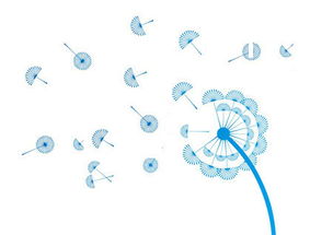 攜手長(zhǎng)春網(wǎng)站建設(shè)，打造企業(yè)專(zhuān)屬的數(shù)字化門(mén)戶(hù)