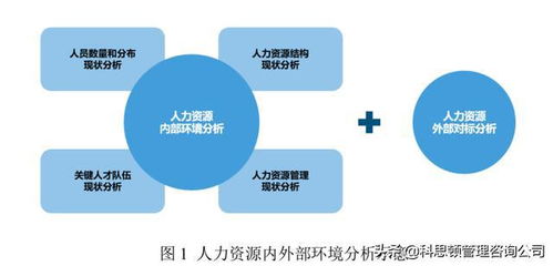 某設計企業(yè)人力資源規(guī)劃咨詢案例